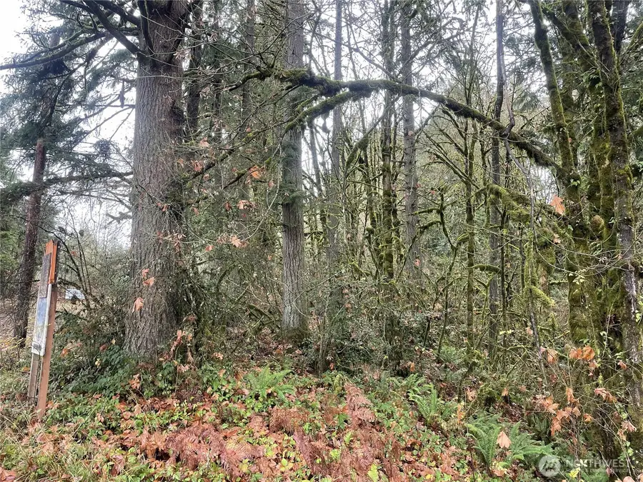 0 Wa 505, Toledo, WA 98591 - #3