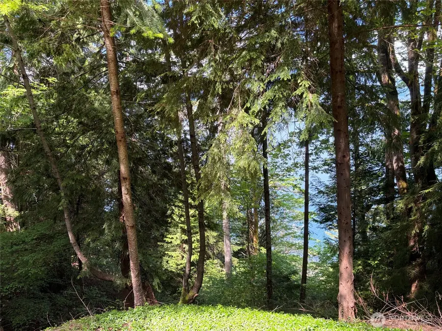 0 Tskutsko Point Road, Quilcene, WA 98376 - #3