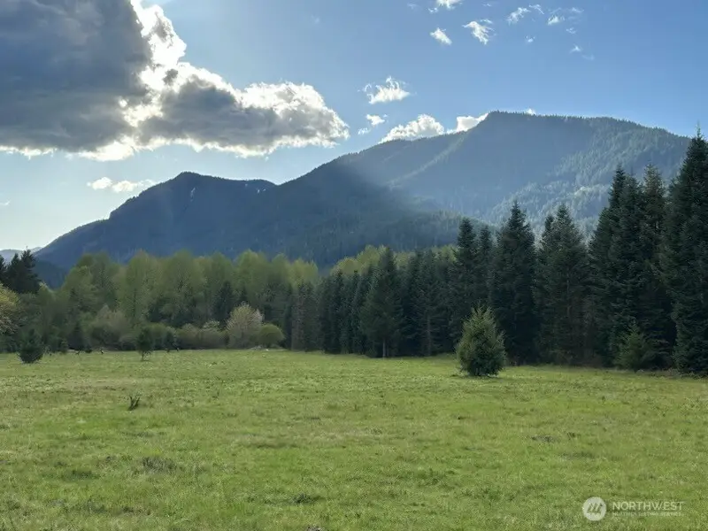 171 Baker Road, Randle, WA 98377 - #3