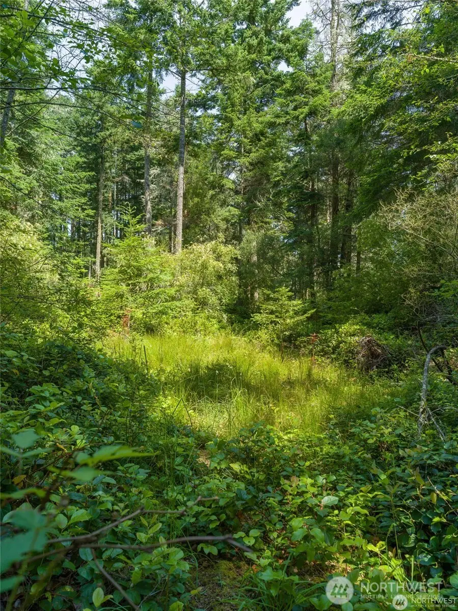 0 Eliza Road #5, Lopez Island, WA 98261 - #2