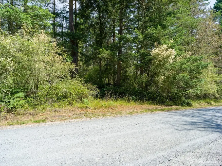 0 Eliza Road #5, Lopez Island, WA 98261 - #3