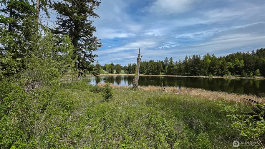 196 Davies Road, Oroville, WA 98844 - #2