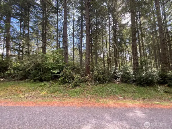 11321 Lake Josephine Avenue #Lot 69, Anderson Island, WA 98303