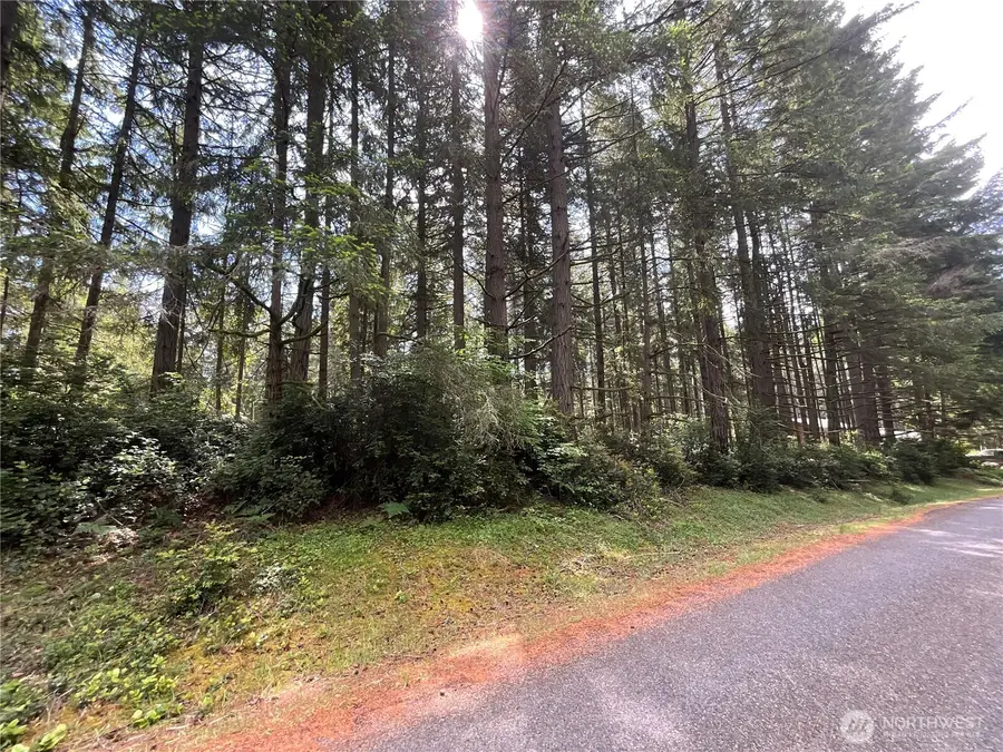 11321 Lake Josephine Avenue #Lot 69, Anderson Island, WA 98303 - #2