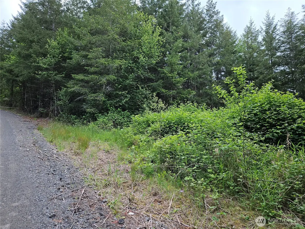 2 Myrtle View Lane, Chehalis, WA 98532 - #1