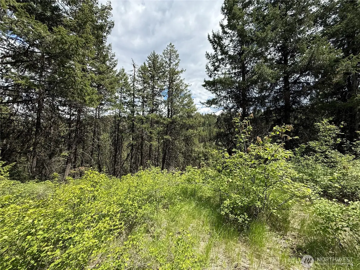 0 Slippery Hill Road #Lot 131, Republic, WA 99166 - #1