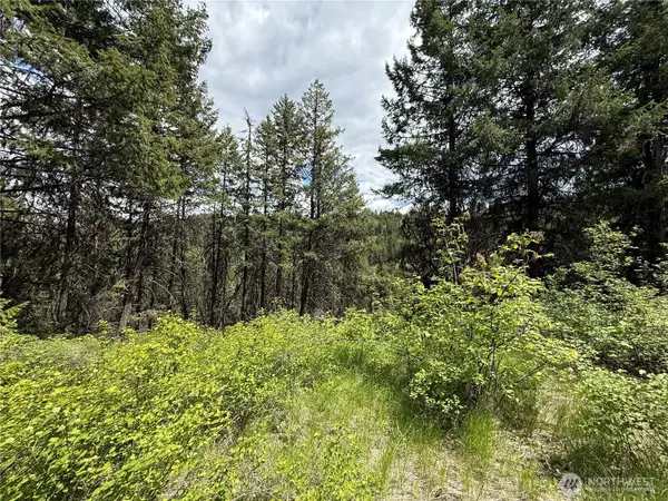 0 Slippery Hill Road #Lot 131, Republic, WA 99166