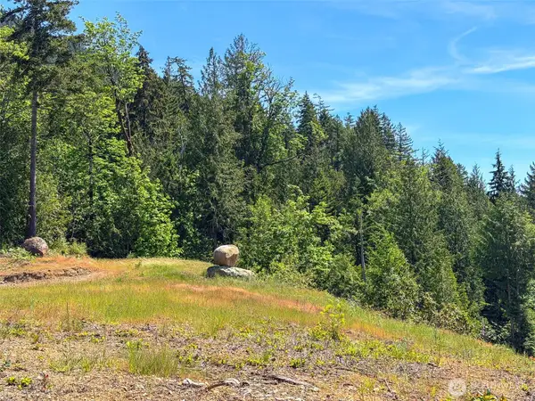 111 Rocky Brook Road, Brinnon, WA 98320