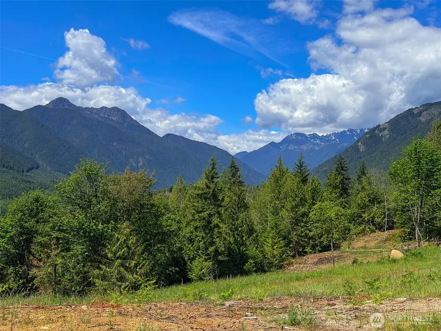 111 Rocky Brook Road, Brinnon, WA 98320 - #3