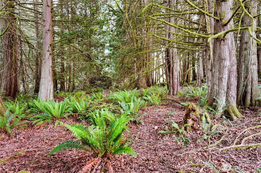 0 Rainier Lane, Port Ludlow, WA 98365 - #2