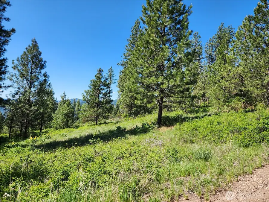 0 Gold Mountain Road #Lot 95, Republic, WA 99166 - #2
