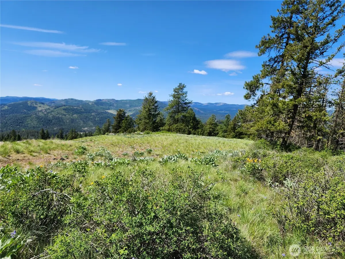 0 E Knob Hill Road #Lot 79, Republic, WA 99166 - #1