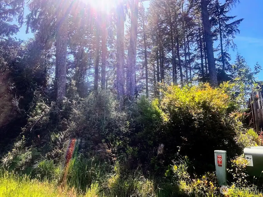 559 Sunset Avenue Ne #36, Ocean Shores, WA 98569 - #3