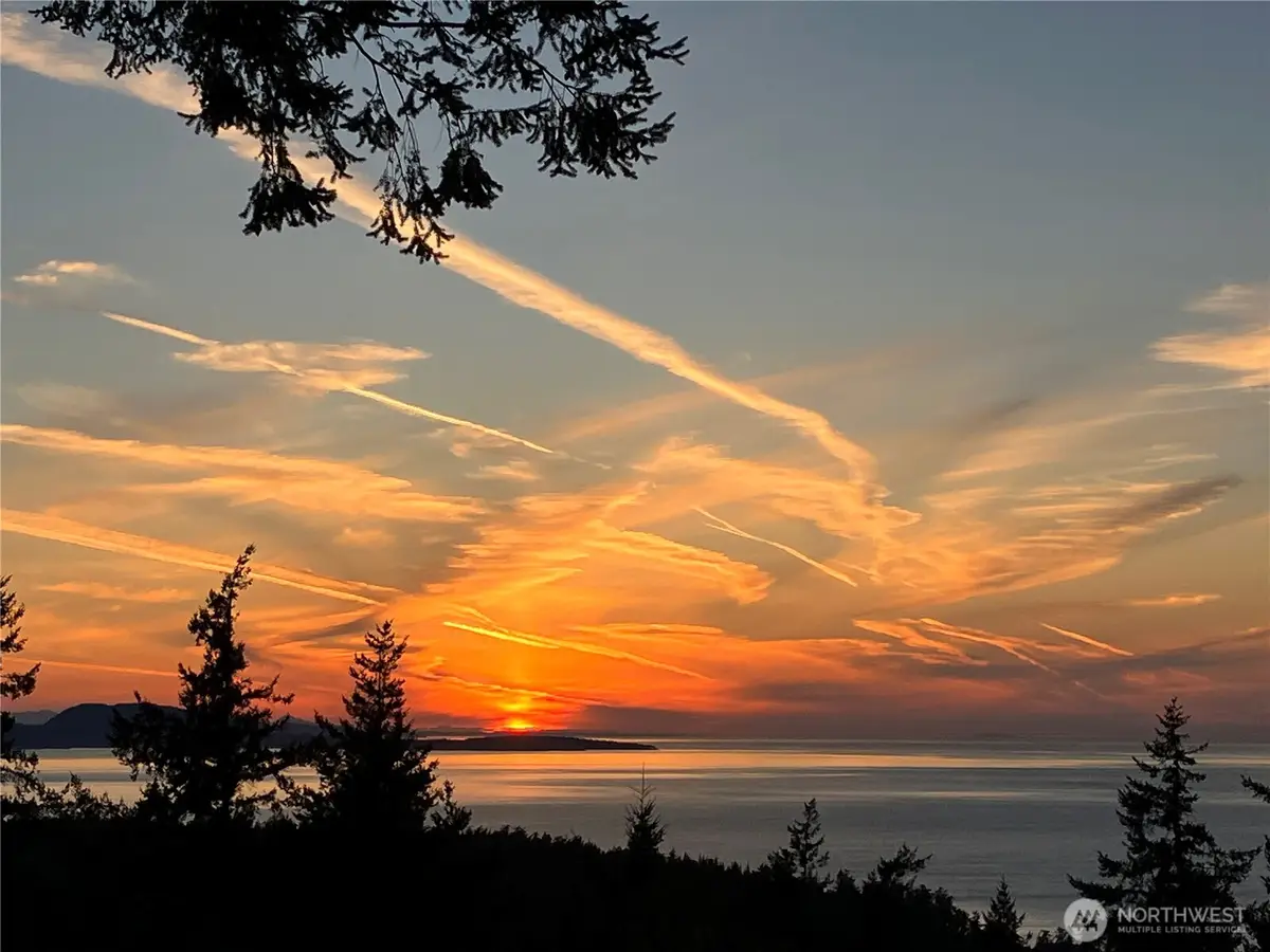 463 Wright Road, Orcas, WA 98245 - #1