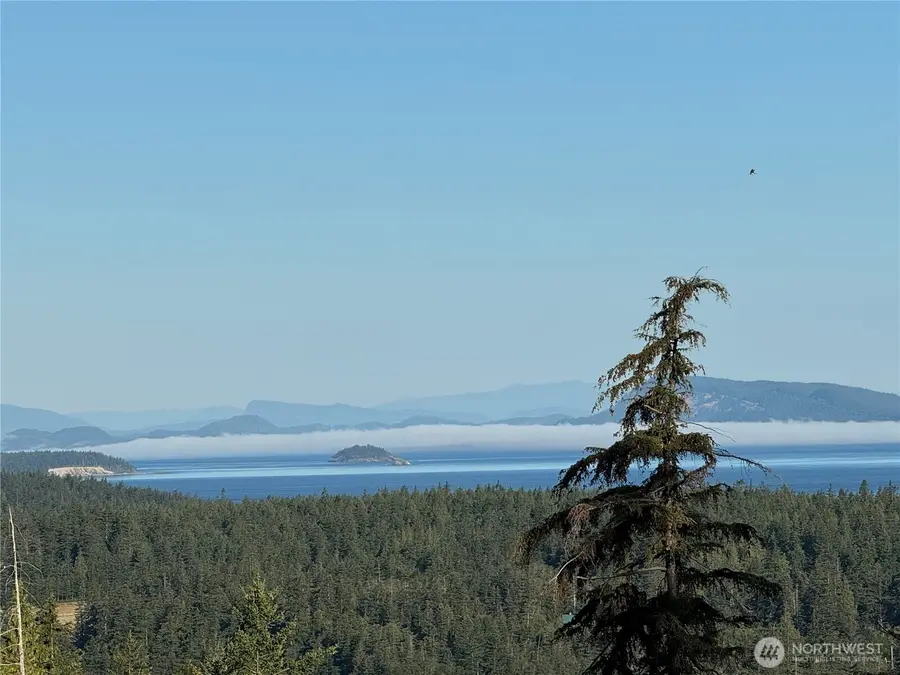 463 Wright Road, Orcas, WA 98245 - #2