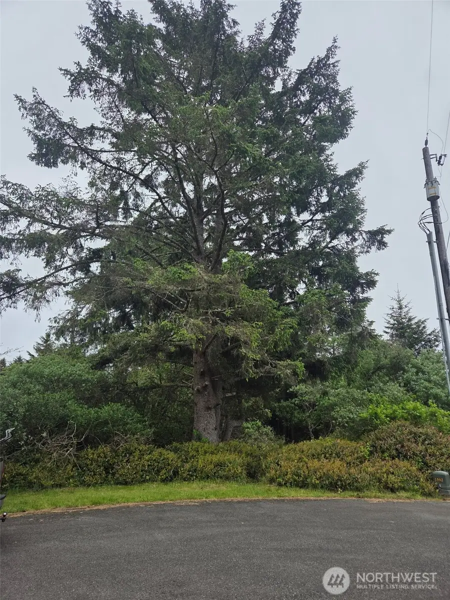 624 Wolf Ct Se #276, Ocean Shores, WA 98569 - #2
