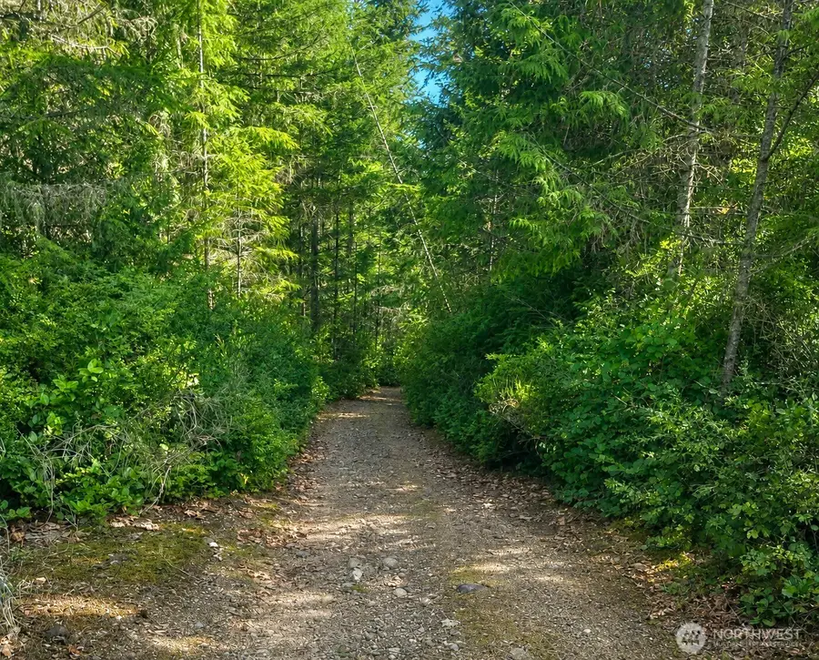7611 N Triton Heights Road #8, Lilliwaup, WA 98555 - #3
