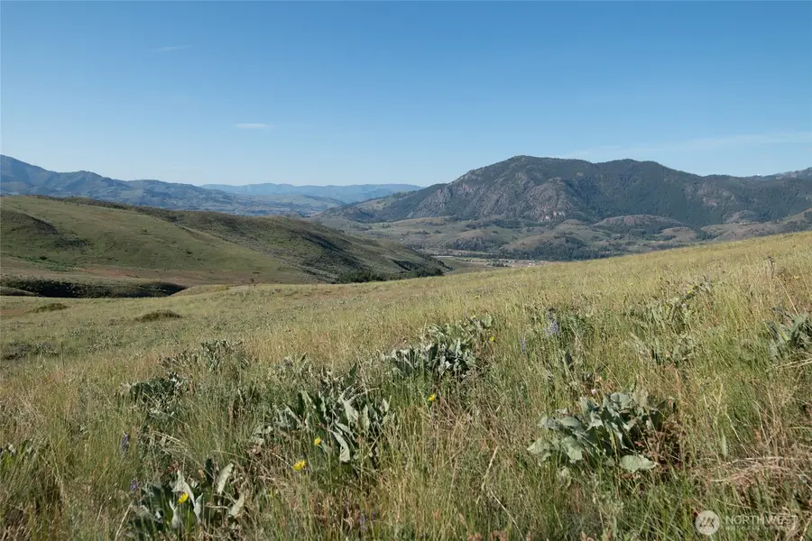 32 Maggies Road, Twisp, WA 98856 - #2