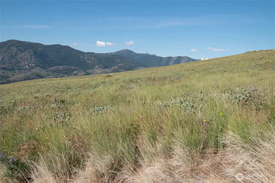 32 Maggies Road, Twisp, WA 98856 - #3