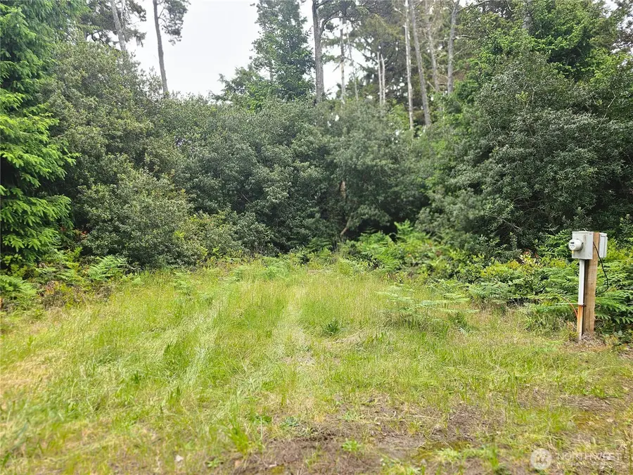 30808 J Place, Ocean Park, WA 98640 - #3