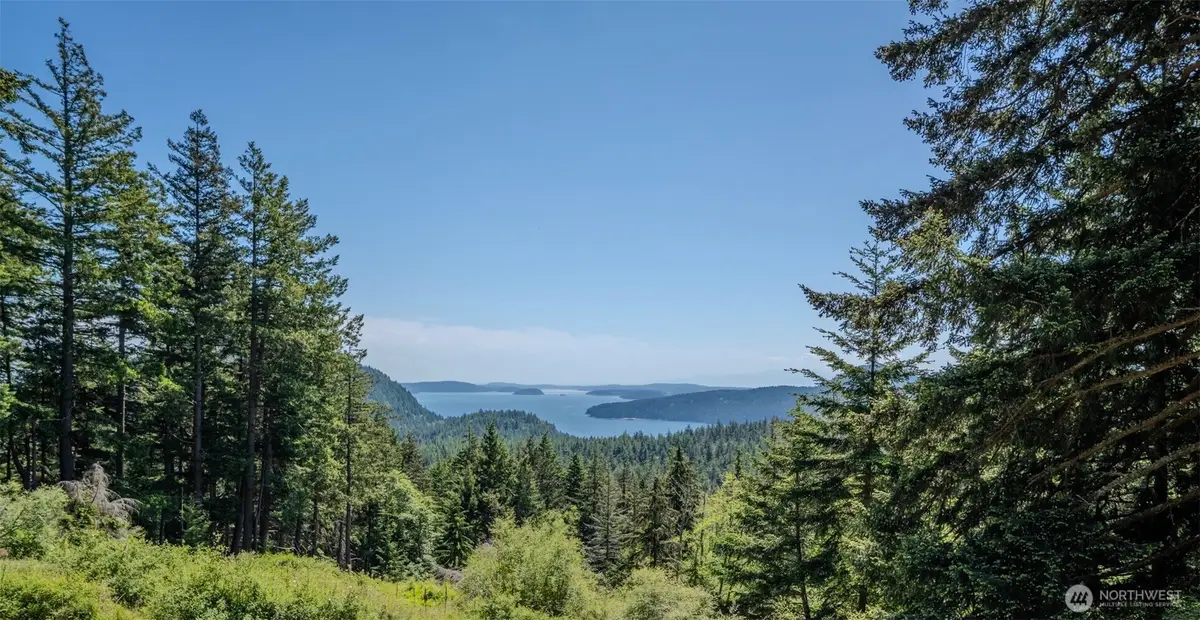 521 Vusario Lane #1, Orcas, WA 98245 - #1