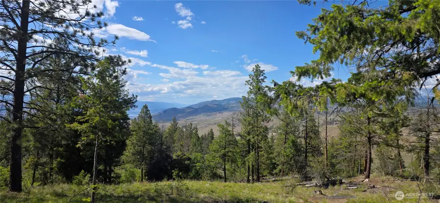385 Corral, Oroville, WA 98844 - #2