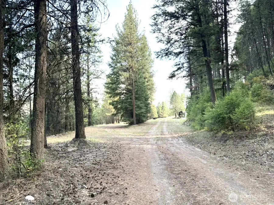 30543 Hwy 20 E, Republic, WA 99166 - #2