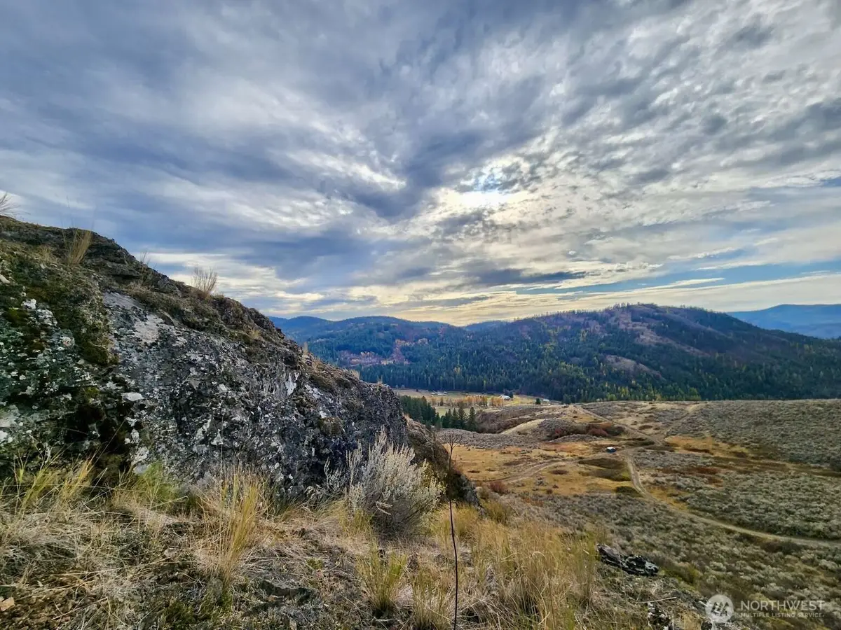 48 Oleander Road, Republic, WA 99166 - #1