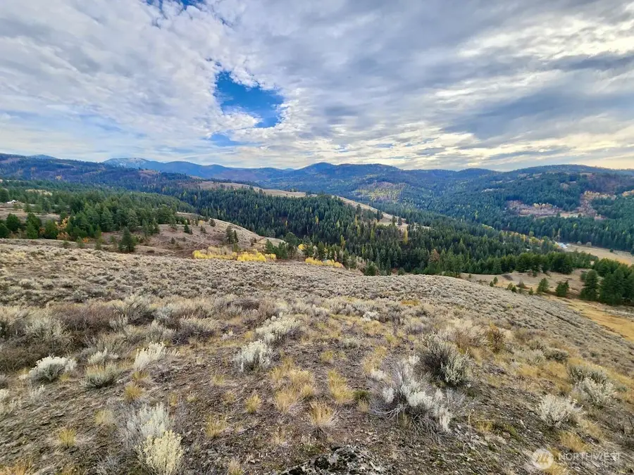 48 Oleander Road, Republic, WA 99166 - #3