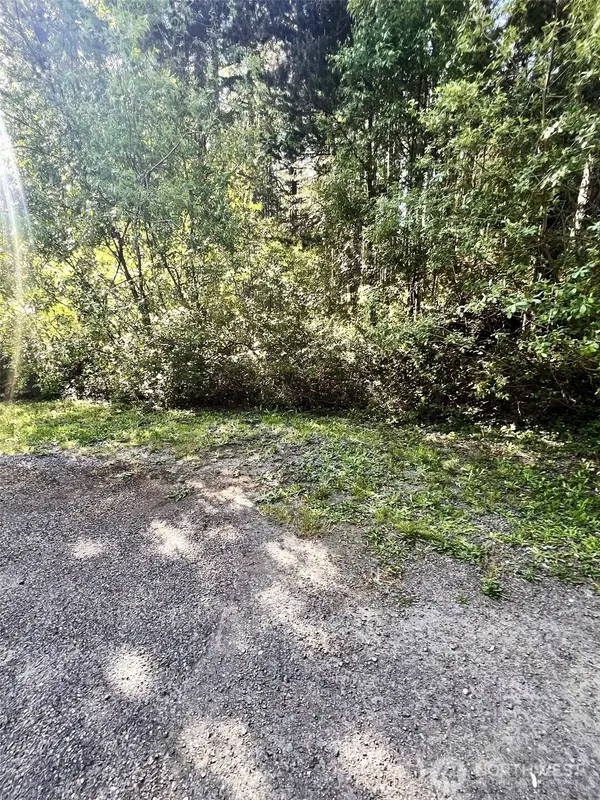 61 NE Fern Court #S 50 ft of Lot 13, Tahuya, WA 98588
