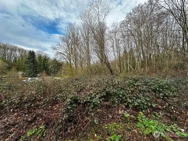 123 47th Avenue S, Seattle, WA 98178 - #1