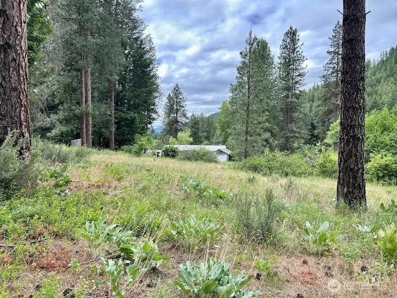 15425 Chumstick Highway, Leavenworth, WA 98826 - #1