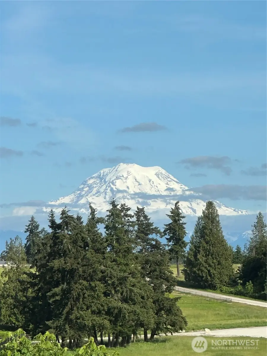 3028 64th Street E, Tacoma, WA 98443 - #3