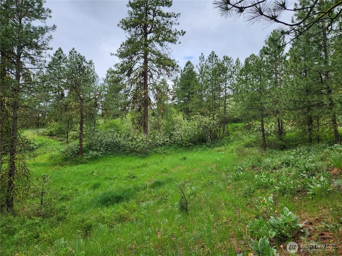 0 Gold Mt. Road #Lots 74 & 75, Republic, WA 99166 - #1