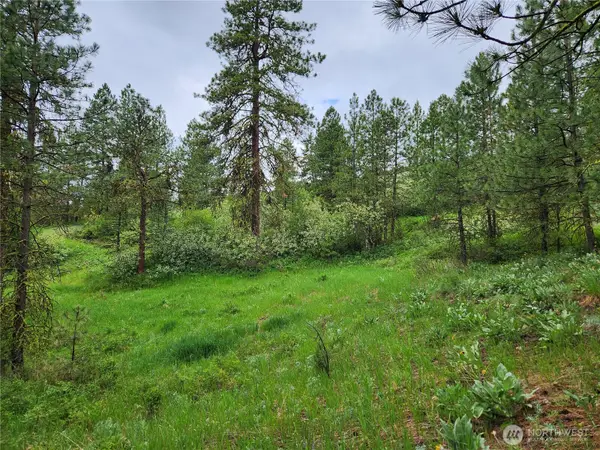0 Gold Mt. Road #Lots 74 & 75, Republic, WA 99166