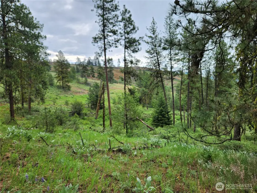 0 Gold Mt. Road #Lots 74 & 75, Republic, WA 99166 - #2