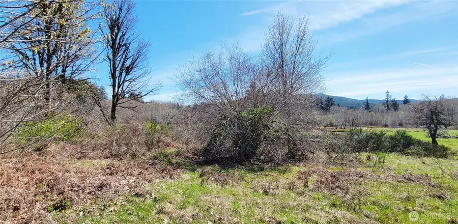 0 W Cloquallum Road, Shelton, WA 98584 - #3