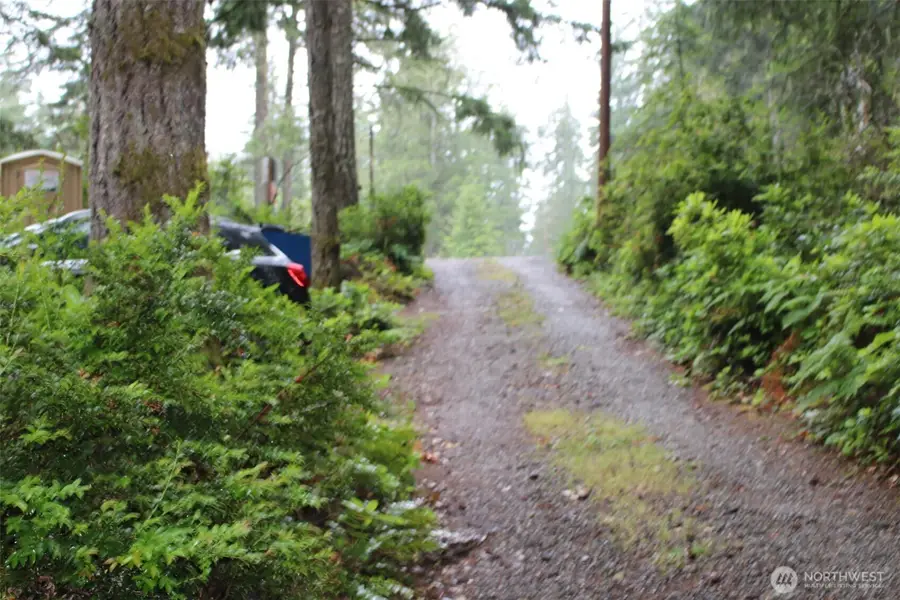 291 Collins Lake Drive, Belfair, WA 98528 - #3