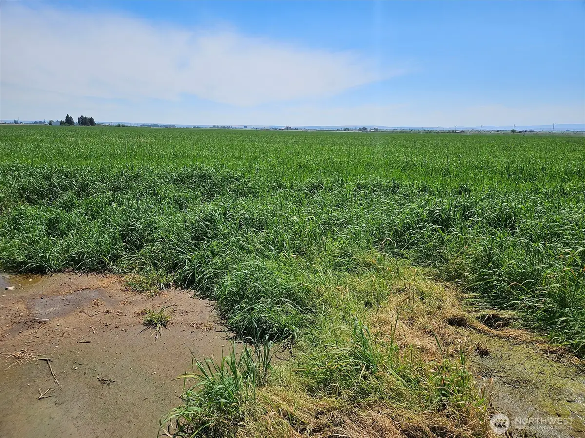 314184000 Highway 281, Quincy, WA 98848 - #1