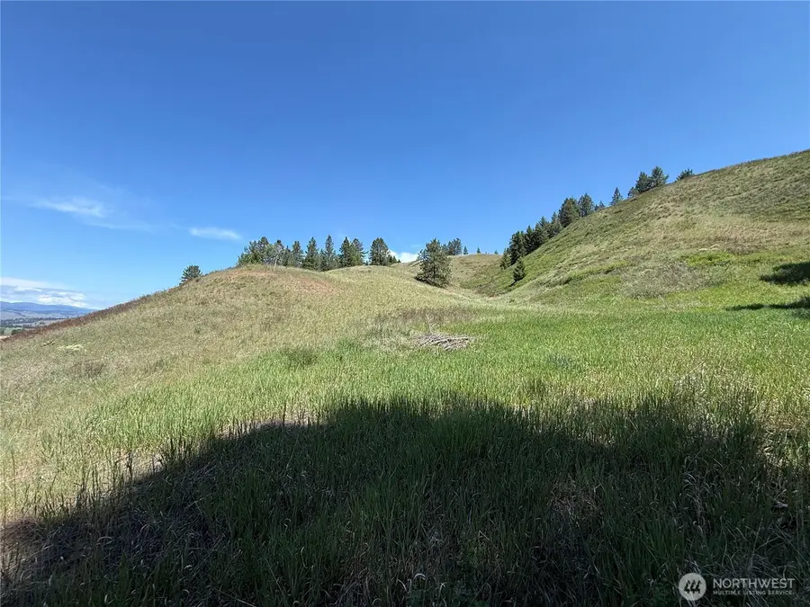 0 Art Creek Road #C, Malo, WA 99150 - #3