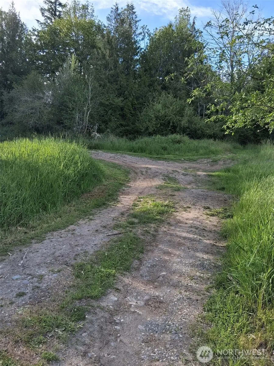 15249 Martinson Road Se, Yelm, WA 98597 - #3