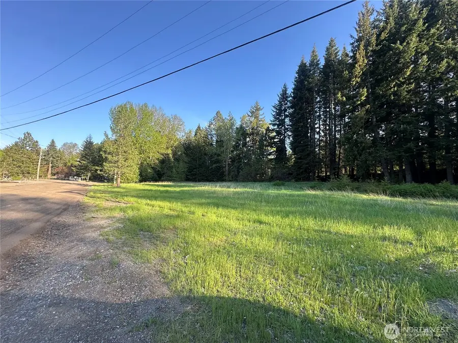 0 Beaver Lane, Cle Elum, WA 98922 - #2