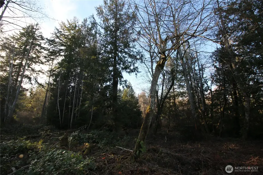 0 91st Ave Sw, Vashon, WA 98070 - #3