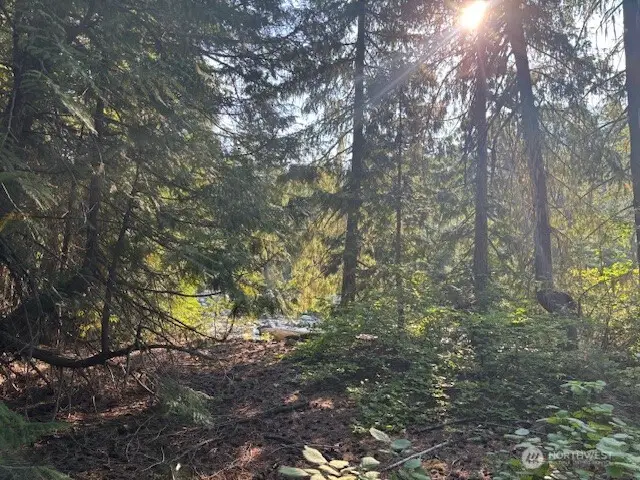 1 Fs Rd 4330, Ronald, WA 98940 - #3
