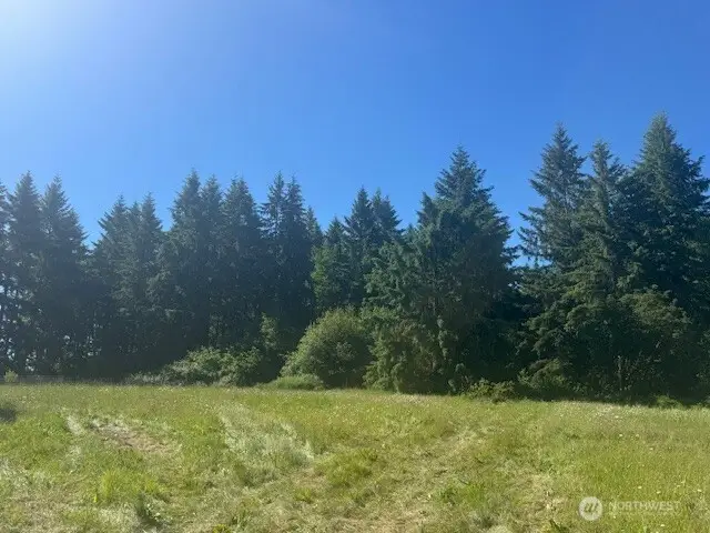 692 Burchett Road, Onalaska, WA 98570 - #1