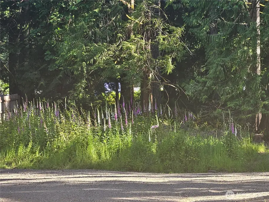 51 Ames Lane #Lot 4, Port Ludlow, WA 98365 - #2