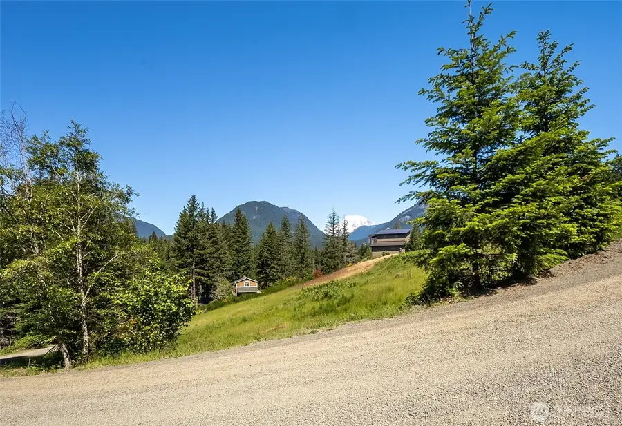 113 Hellem Drive, Packwood, WA 98361 - #2