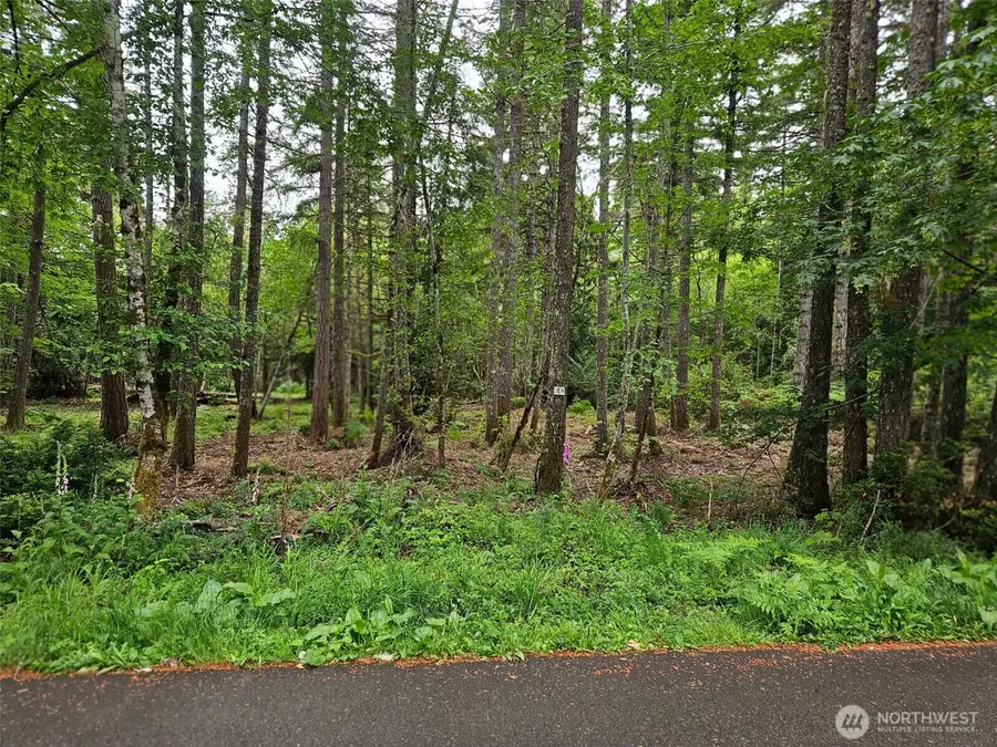 870 E Wilson Way, Grapeview, WA 98546 - #2
