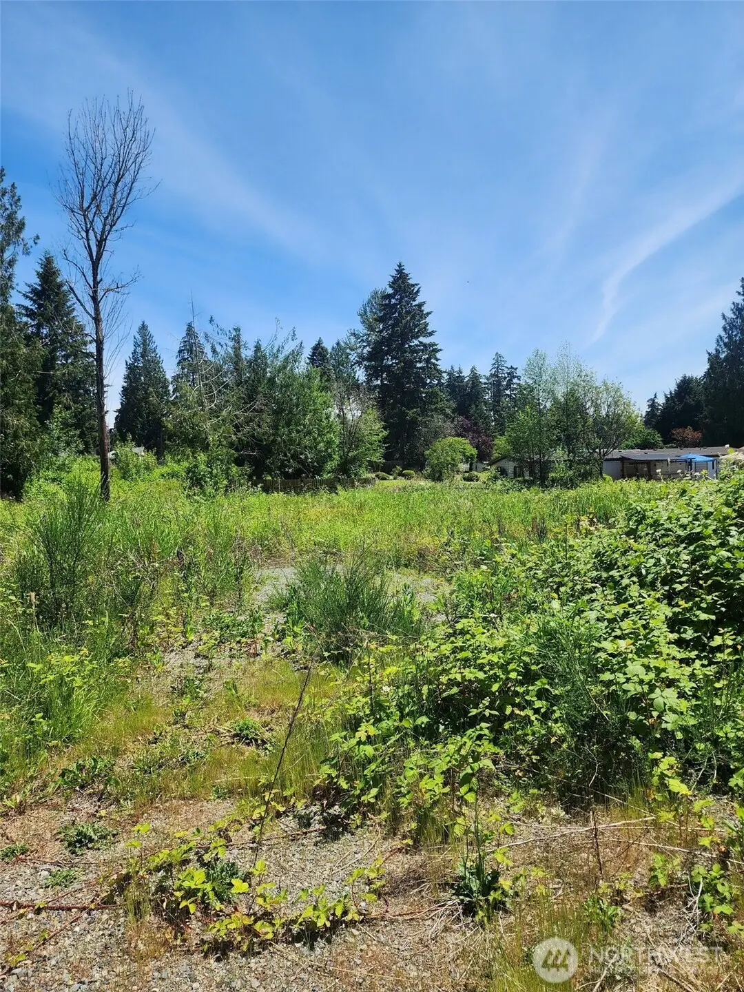 376 47th Avenue S #5-8, Auburn, WA 98001 - #1