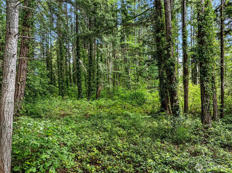 0 NE West Port Madison Road, Bainbridge Island, WA 98110 - #3